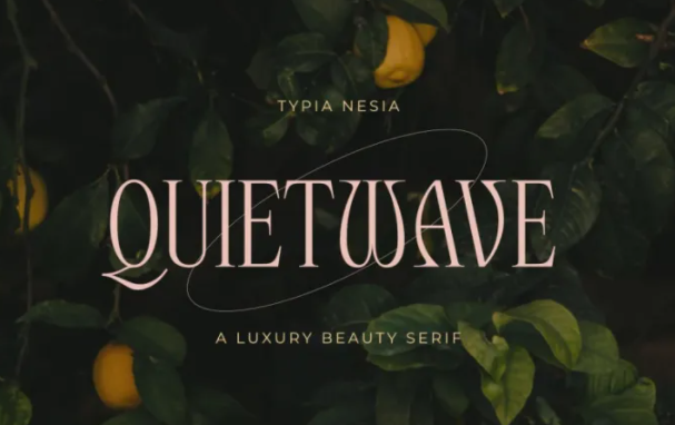 [Creativemarket] Quitewave Font (2021)_0.png